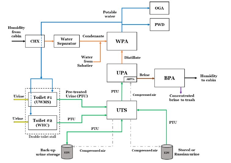 Confusing diagram with a lot of arrows and acronyms for water and urine management. Don't worry about it, this is mostly here as a rhetorical device.